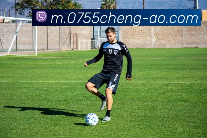 App Interface Preview