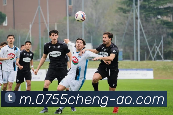 亚英娱乐唯一官网APP 封面图